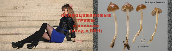 мяу мяу кристалл Алексин