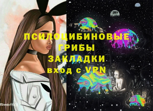 гидра Алзамай