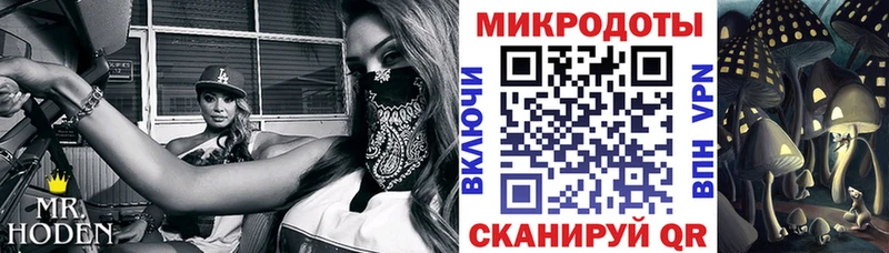 Псилоцибиновые грибы Cubensis  купить  сайты  МЕГА онион  Боровск 